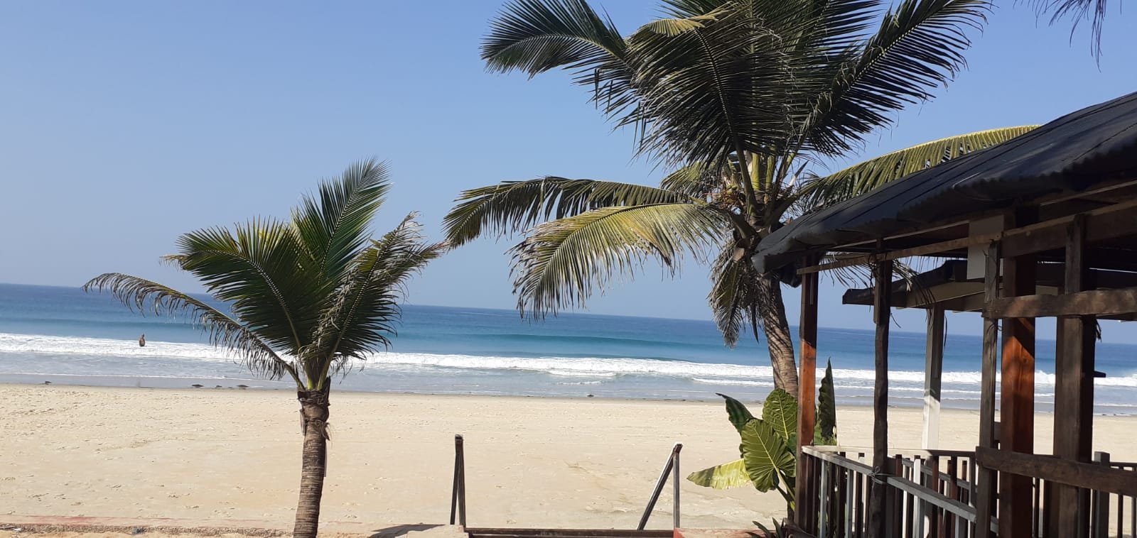 Palm trees along Sernabatim beach